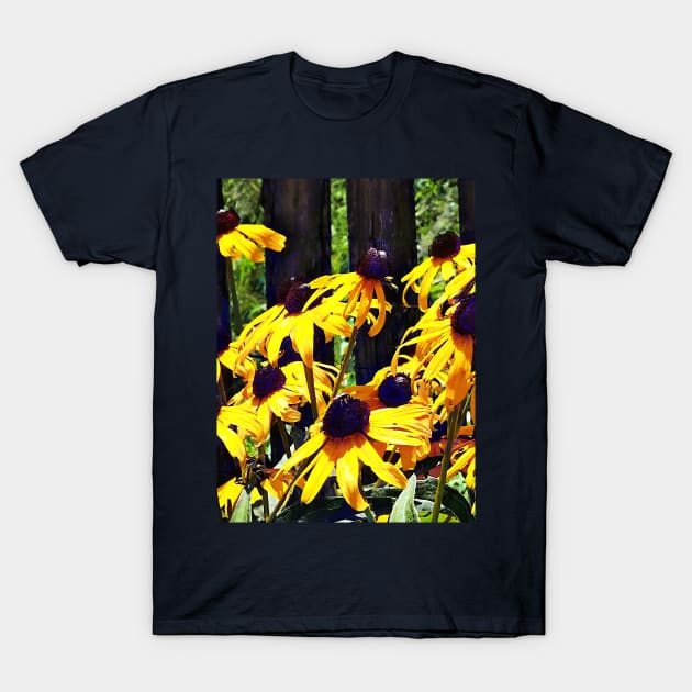 Black Eyed Susans by Fence T-Shirt by SusanSavad